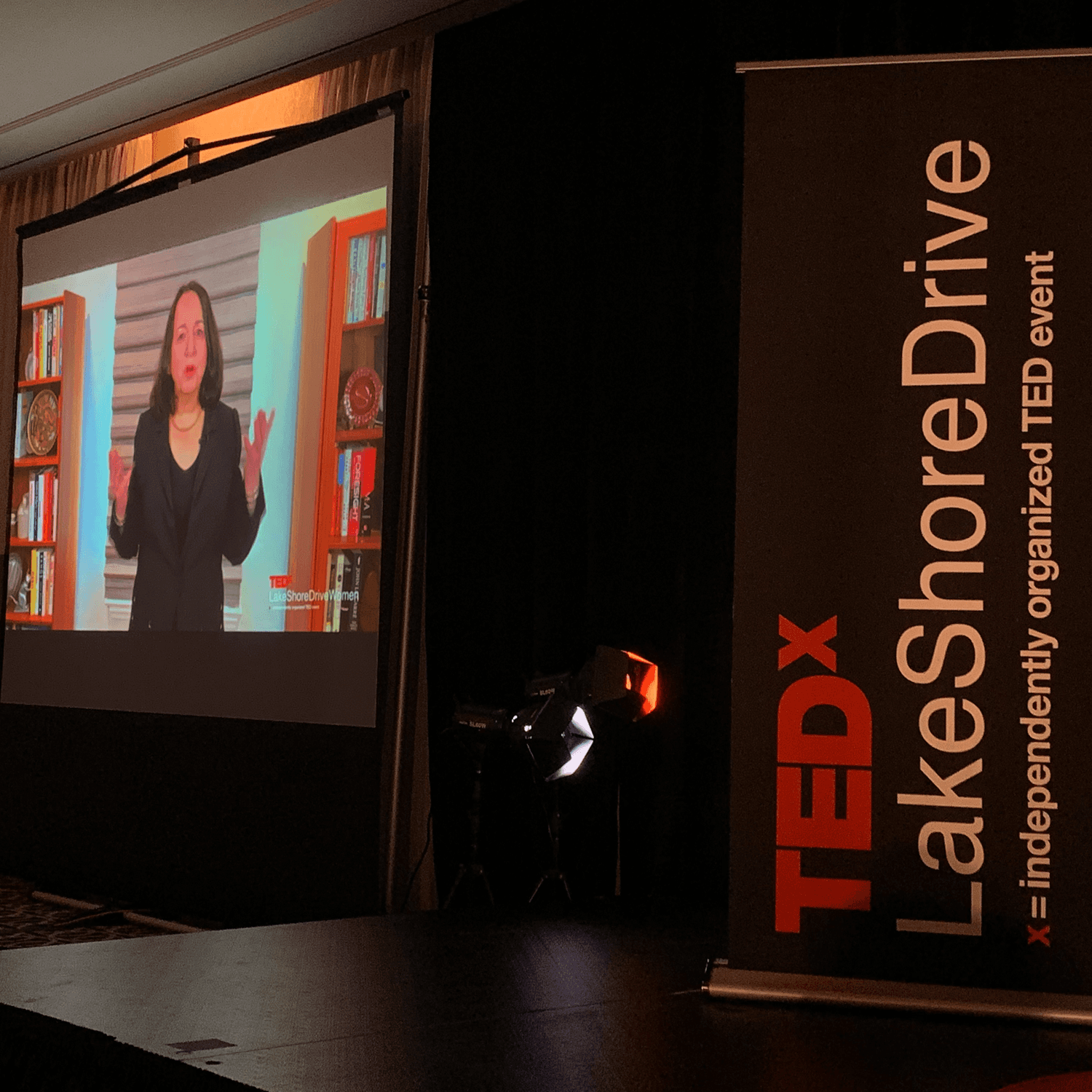 Pam Harper Speaks Virtually at TEDx LakeShoreDrive Women