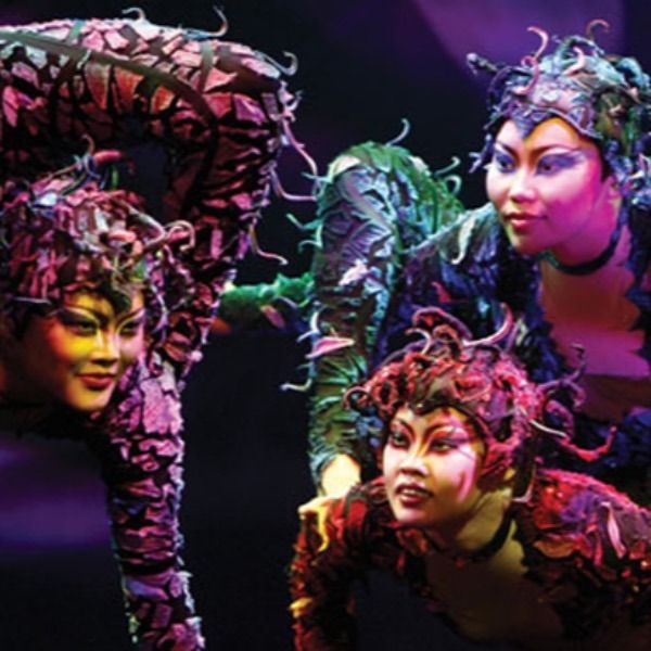 CIRQUE PERFORMERS