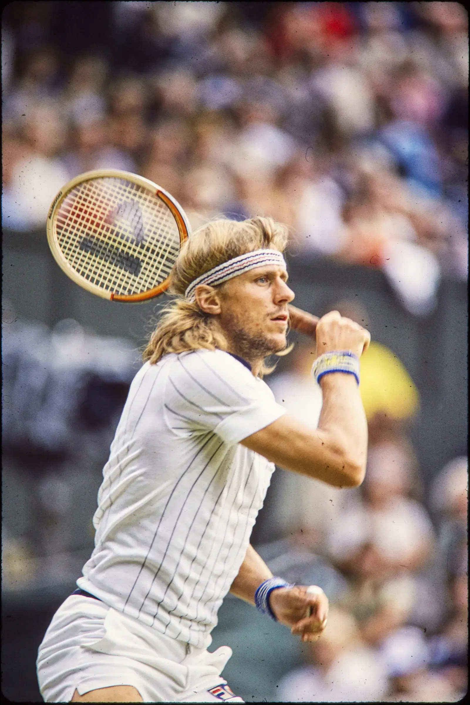 Bjorn Borg Tennis